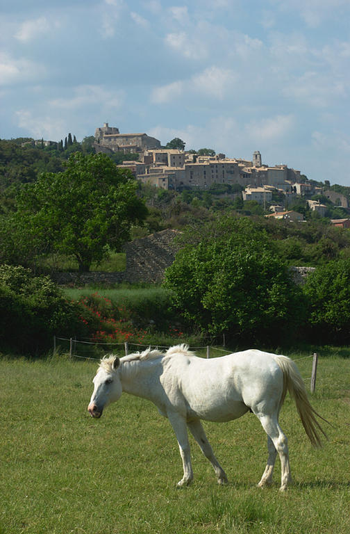 La Fontaine Bed & Breakfast Simiane-la-Rotonde Exterior photo